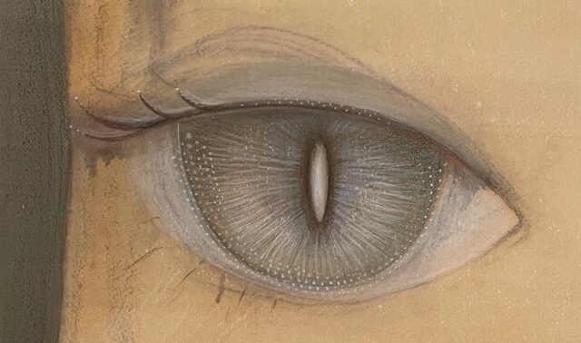 Yoshitomo Nara, Daydreamer, 2003 detail