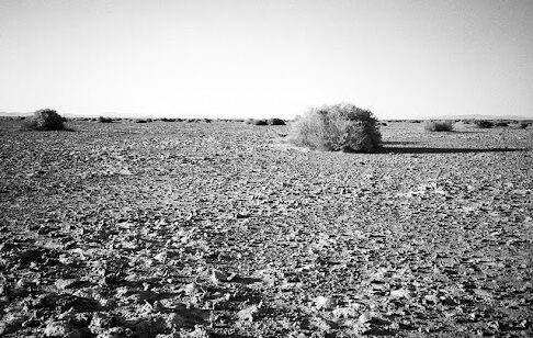 In the Desert,  Stephen Crane