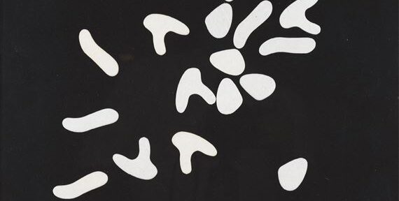 Jean Arp, Variables Bild , 1964