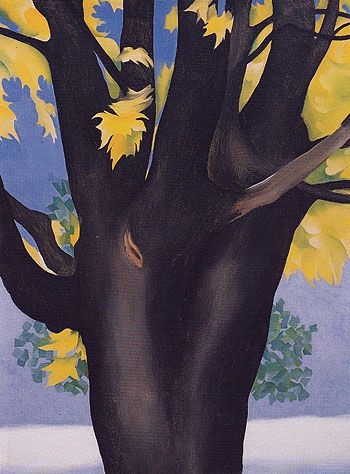 Georgia OKeeffe Black Maple Trunk Yellow Leaves 1929