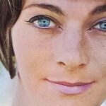 ..The Dove - A song by Judy Collins, 1963