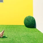 Clemens Ascher’s Dystopian Garden Vision