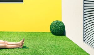 Clemens Ascher’s Dystopian Garden Vision
