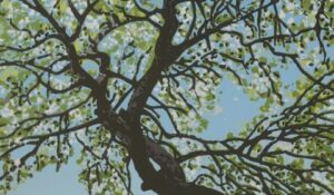 Apple Crumble Tree       -       Lisa Benson