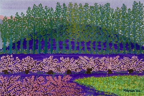 Μάρκος Μέσκος