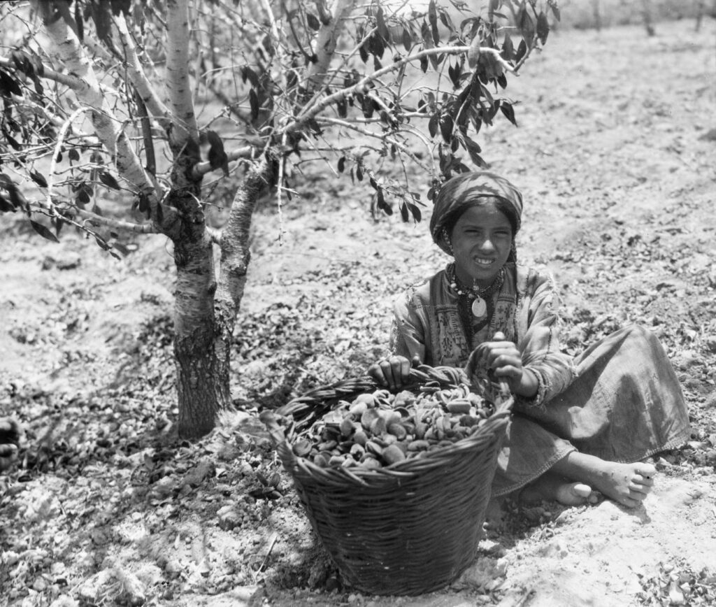 People of Palestine | The 1920s Photos of Frank Scholten 9 People of Palestine | The 1920s Photos of Frank Scholten Palestine Frank Scholten 1921 23 3