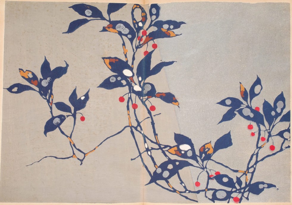 Patterns of Grasses and Flowers Drawn from Life Furuya Korin 1907 12