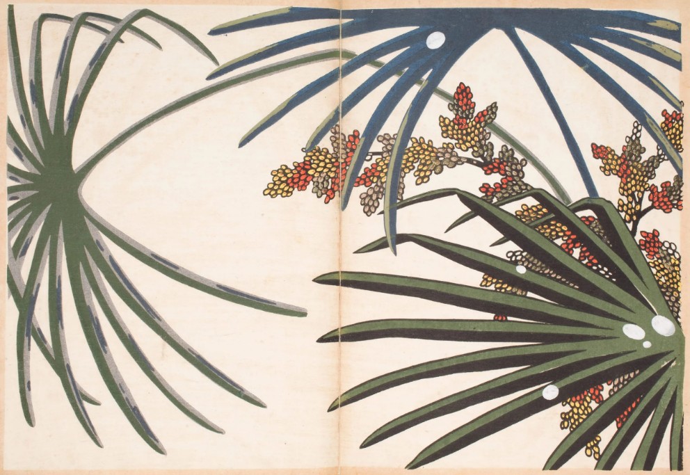Patterns of Grasses and Flowers Drawn from Life Furuya Korin 1907 14