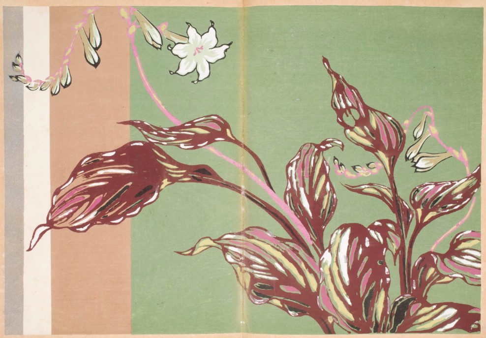 Patterns of Grasses and Flowers Drawn from Life Furuya Korin 1907 20