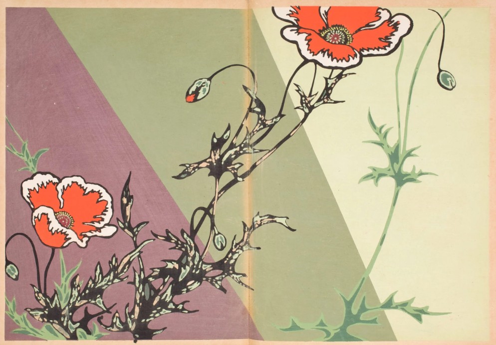 Patterns of Grasses and Flowers Drawn from Life Furuya Korin 1907 3