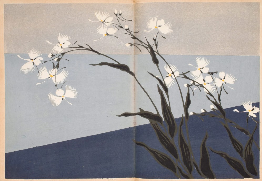 Patterns of Grasses and Flowers Drawn from Life Furuya Korin 1907 5