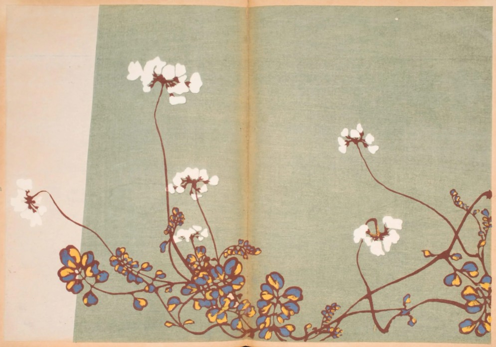 Patterns of Grasses and Flowers Drawn from Life Furuya Korin 1907 8