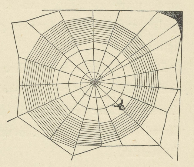 Alphabetarion # Sun | Antonio Porchia, 1943 1 Alphabetarion # Sun | Antonio Porchia, 1943 A Garden Spiders web. Princess Fairy or The Wonders of Nature. 1899