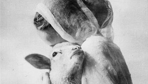 Laura Makabresku Consolation