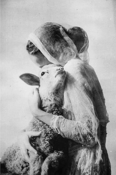 Laura Makabresku Consolation