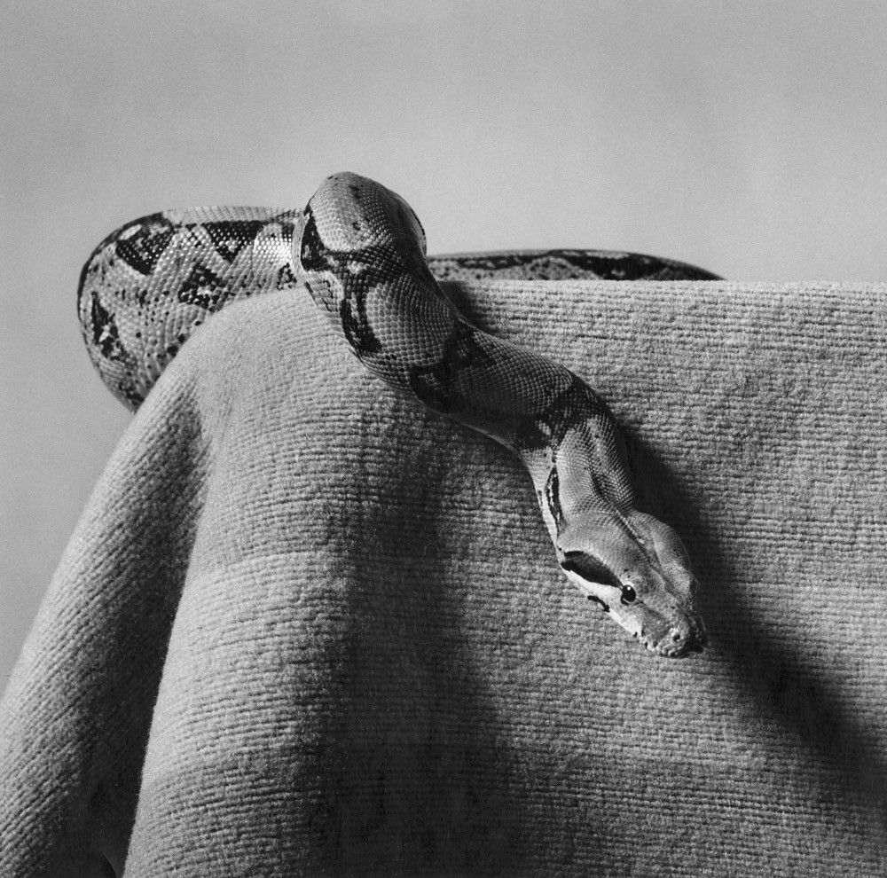 Peter Hujar