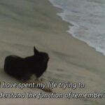 Sans Soleil - Chris Marker, 1983