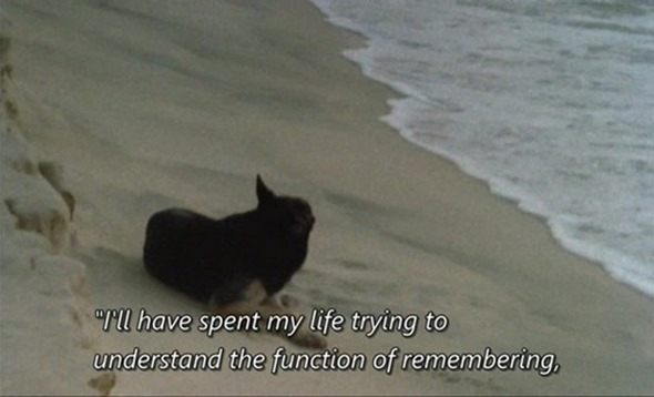 Film Stills |=| The Function of Remembering | Chris Marker, 1983 1 Film Stills |=| The Function of Remembering | Chris Marker, 1983 Sans Soleil Chris Marker 1983