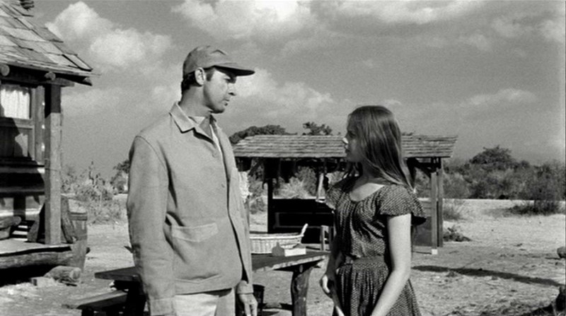 The Young One 1960 1