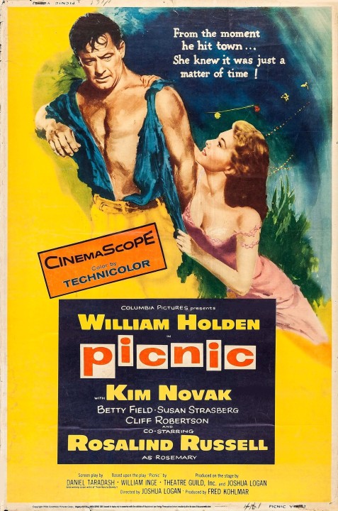 picnic 1955 poster